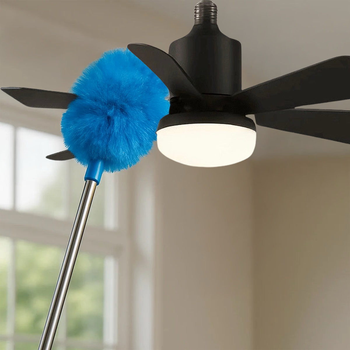 fan dust brush